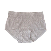 SANWYMEN Sexy Thongs Knit Low Rise Briefs Nylon Seamless Underwear Women Panties