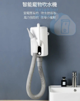小紅栗 寵物吹水機 吹風機 C20 Pro 寵物美容 負離子吹風 2000W 升級版
