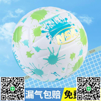免費印字排球初中生中考專用小學生兒童比賽氣排球軟硬式訓練正品-淘淘屋