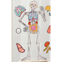 【子玄】骨骼器官內臟拆卸 身體骨架教具 人體結構模型 紙卡(人體構器官模型拼圖 人體骨骼教材)
