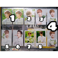 EXO × Nature Republic Official Photocard (old ver.)