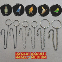 Rantai parkit Rantai Lovebird Rantai Ysc Rantai Conure Rantai Burung Paruh Bengkok Rantai Parrot