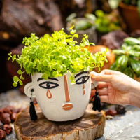 Art Face Hand Paint Handcrafted Cement Flower Pot for Succulent