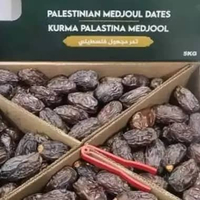 Kurma Medjool Palestina 1kg (JUMBO)