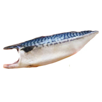 【池鮮生】XL超厚切挪威薄鹽鯖魚片30片組(170g-200g/片/純重無紙板)