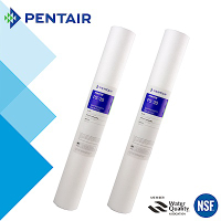 怡康 PENTAIR 20吋公規小胖5微米PP棉濾芯(2支組)