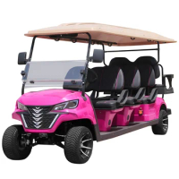 Electric Sightseeing Bus CE Approved 2-4 Seaters Electric Golf Cart with Lithium Battery