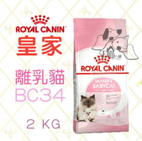 法國 皇家ROYAL CANIN  離乳貓與母貓用 (BC34) 2kg