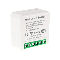 Mini Smart WiFi Relay Switch, DIY Timer Light Switch Module Smart Life/Tuya Application, Wireless Remote Control
