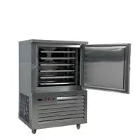 Commercial Restaurant Equipment Small Cooling Tunnel Machine Fish Quick Chiller Air Deep Chest Blast Freezer 178L CFR BY SEA