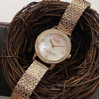【COACH】COACH蔻馳女錶型號CH00110(白色貝母錶面香檳金錶殼香檳金不規則米蘭錶帶錶帶款)