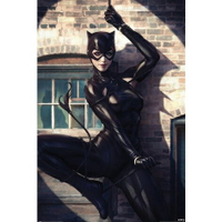 【DC】貓女 Catwoman (光源聚焦) 英國進口海報 居家裝飾 牆壁裝飾