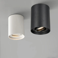 Surface mounted ceiling tube lamp housing with GU10 replaceable LED spotlights