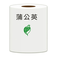 【史代新文具】蒲公英 1.5KG 環保大捲擦手紙 (1箱12卷)