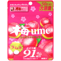 【Lotte 樂天】梅子風味糖(50g)