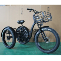 electric cargo tricycle for adult 20inch electric cargo bike fat tire electric tricycles e trike from MINGMAX