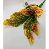 Daun Puring - Daun Artificial Puring