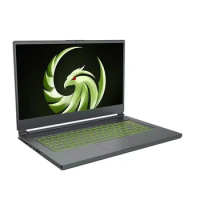 NEW generation Bravo 15 game laptop 15.6 inch 240Hz R9-5900HX RX6700M 10g GPU 16g RAM+1T ssd gaming notebook laptop