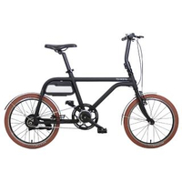 【TSINOVA】TS01 ONE 20吋 智慧型電動輔助自行車(智慧型電動輔助小徑車/智慧動能自行車/鋰電池電輔車)