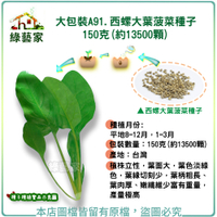 【綠藝家】大包裝A91.西螺大葉菠菜種子150克(約13500顆)
