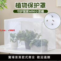 【台灣公司 可開發票】植物防蟲防鳥網罩藍莓草莓防鳥罩戶外陽臺種菜菜園育苗保護罩定制