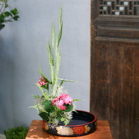 日式中式插花花器小原流花道花器塑膠塑料插花工具組合花盤