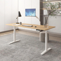 Flexispot 三節磁吸式電動升降桌120x60桌組 不含安裝(磁吸式理線盤)