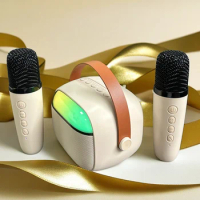 Wireless Microphone Karaoke Portable Bluetooth Audio Outdoor 3d Stereo Amplifier Family Singing Speaker