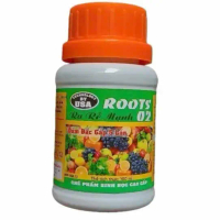 Phân bón kícḣ RỄ roots2 roots 2 USA chai 100ml đậm đặc gấp 5 lần dùng kícḣ rễ các loại cây cảnh
