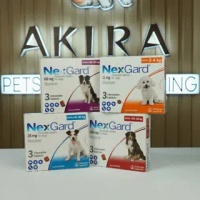 Nexgard Dog Size M 4-10KG Obat Kutu Anjing