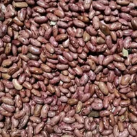 Kacang Merah Kering 1 kg