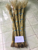 Akar Manon Dekorasi isi 100 pcs / Akar Rustic / Akar Rustik