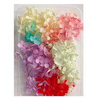 【A-ONE 匯旺】安娜繡球 花材 乾燥花材 乾燥花 DIY浮游花 不凋花 永生花 仿真花 捧花 拍照(A17)