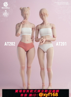 {保固一年 可打統編}WorldBox1/6女素體AT201標準版 AT202肥腿版203模特版女兵人