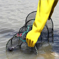 4 Sizes Fishing Collapsible Trap Cast Keep Net Crab Crayfish Lobster Catcher Pot Trap Fish Net Eel Prawn Shrimp Live Bait