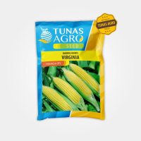 BENIH JAGUNG MANIS VIRGINIA F1 TUNAS AGRO ISI 100 Gram