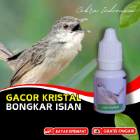 Vitamin Cigun Ciblek Gunung Gacor
