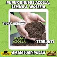 Pupuk Khusus Azolla, Lemna, dan Wolffia – Fermentasi Sekam dan Kohe Alami Terbukti Nutrisi Seimbang