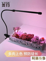 植物燈 貴翔 多肉補光燈 USB夾子式 上色全光譜LED花卉盆景植物燈生長燈  雙十二特惠 聖誕節交換禮物