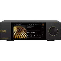 Eversolo DMP-A6 Master Edition GEN 2 網路音訊串流播放器 (黑色)  