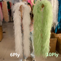 2 Meters Fluffy 1-30PLY Natural Ostrich Feather Boa Suitable for Carnival  Dress Decoration Scarf Shawl Plumes Party Accessory