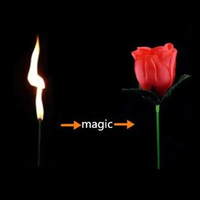 Firlar Sulap Bunga Mawar Api Torch to Rose - Trik Sulap Api Menjadi Bunga, Ideal untuk Pertunjukan d
