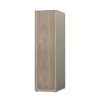 【ASSARI】莫德納1.5尺開放衣櫃(寬46x深46x高198cm)