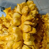 Cimpedak Cempedak kupas Frozen 500gr manis berkualitas kemasan vakum