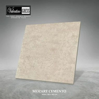 GRANITE VALENTINO GRESS 60X60 CM - MOZART CEMENTO