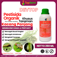 Obat Semprot Hama Kacang Panjang / Obat Hama Tanaman Kacang Panjang / Pestisida Devtop / Insektisida