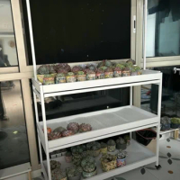 Zhiyue succulent flower stand movable balcony floor-to-ceiling multi-layer wrought iron simple dipping basin water tray