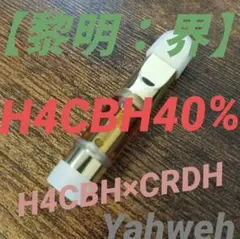 h4cbhの価格比較なら-2025年9月 | BigGo日本
