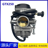 GTX250 Carburetor 250 JS QM 250GY QM 250 250GY AT Motorcycle Carburetor