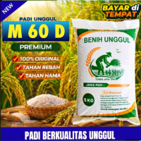 Benih/Bibit Padi M60 D Premium 5 KG Tahan Rebah & Hama Padi Unggul Berkualitas Unggul